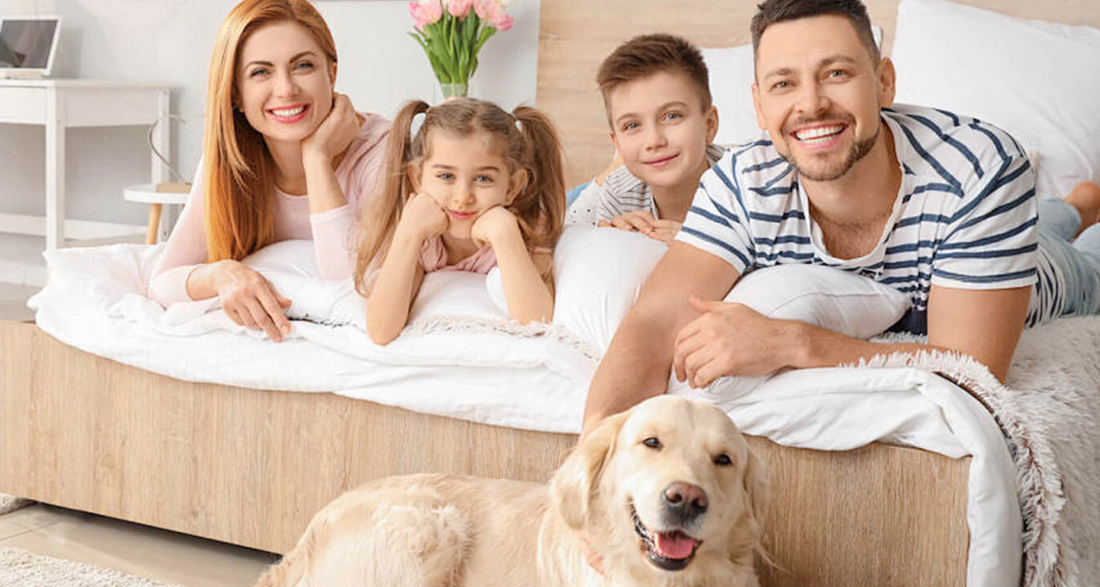 Unlock Your Dream Sanctuary: 5 Powerful Ways a Mattress Vacuum Boosts Health & Sleep!