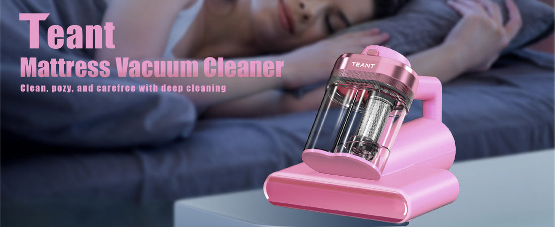 [Teant Tips] Beyond the Bed: The Multi-Surface Power of a Handheld Vacuum