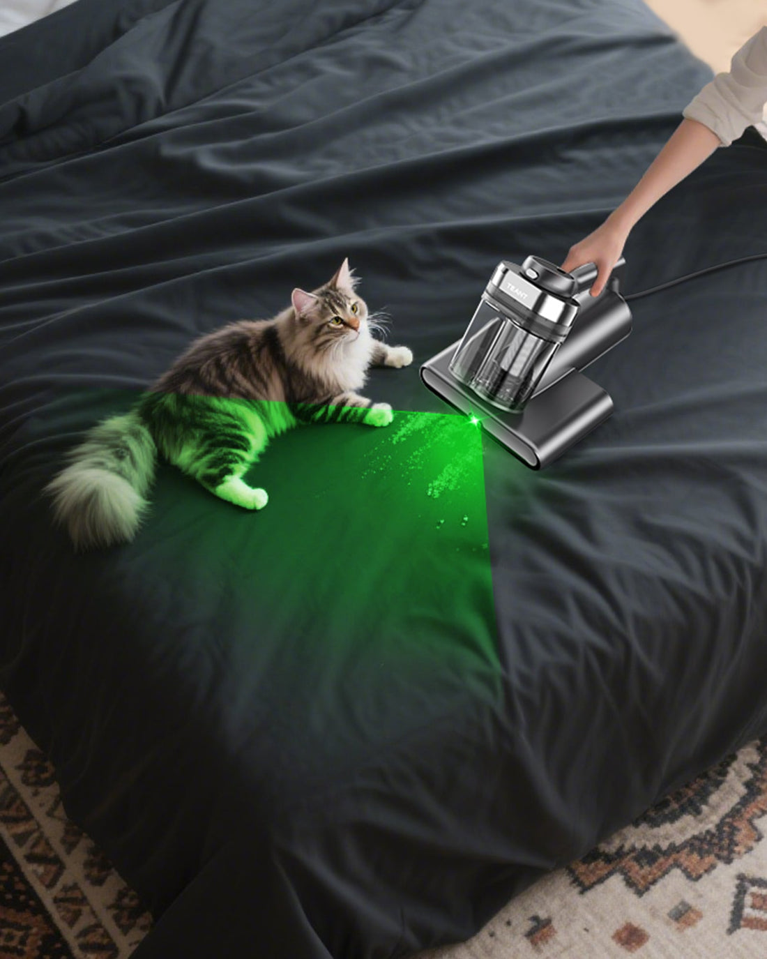 [Teant Tips] Beyond the Bed: Maximizing Your Handheld Vacuum for a Pet-Centric Home
